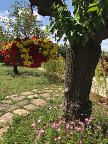 Appartamento Occitemps Saint Julien Les Rosiers Esterno foto